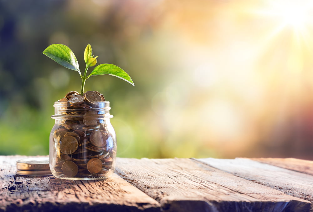 A jar of coins, with a plant sprouting from the top